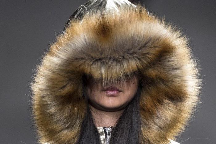 Fourrure. (Image d'illustration)