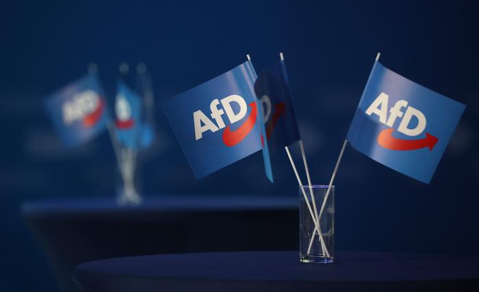 Des drapeaux avec le logo du parti Alternative pour l'Allemagne (AfD). (Image d'illustration)