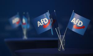 Des drapeaux avec le logo du parti Alternative pour l'Allemagne (AfD). (Image d'illustration)