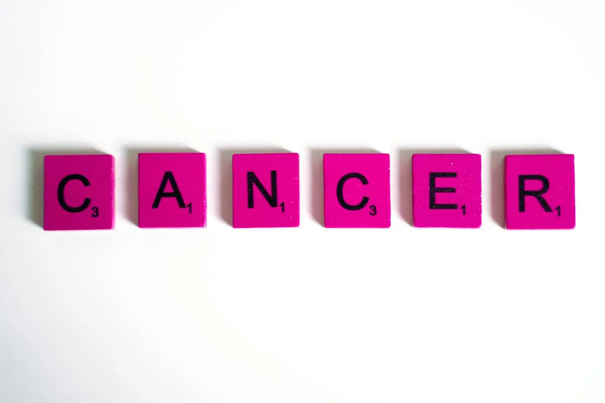 Plusieurs dynamiques convergentes expliquent la baisse historique du taux de mortalité par cancer amorcée au début des années 1990 dans les pays riches.