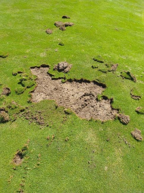 Golf dégradé convoi de l'eau vienne