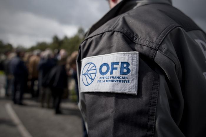 Des membres de l'Office français de la biodiversité (OFB), à Sainte-Montaine, dans le centre de la France, le 3 mai 2024.