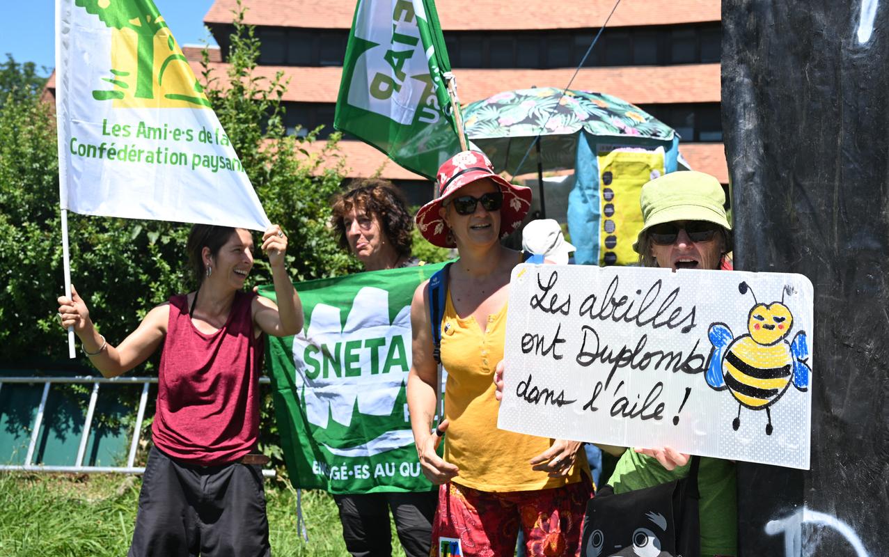 Des manifestants brandissent des banderoles et des drapeaux syndicaux lors d'une manifestation contre le projet de loi agricole dit Duplomb, qui vise à « lever les contraintes à l'exercice » de leur profession, notamment en facilitant l'accès aux pesticides, à Pau, dans le sud-ouest de la France, le 28 juin 2025.