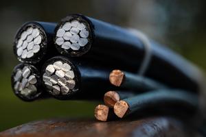 Cette photographie montre des câbles électriques torsadés et isolés. (Image d'illustration)