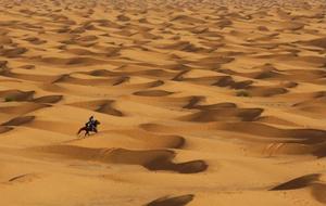 Dunes de sables. (Image d'illustration)