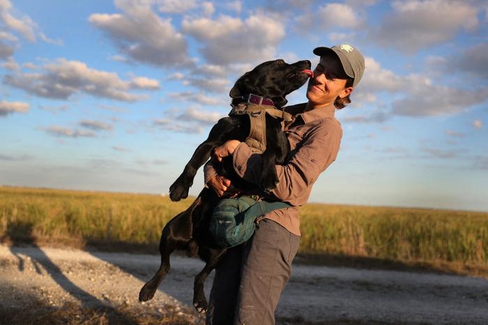Les chiens ne partagent pas seulement leur maison avec leurs propriétaires humains, ils partagent aussi les gènes de l'obésité. Chacun des cinq principaux gènes qui augmentent le risque de prise de poids chez les labradors est également impliqué dans l'obésité humaine.