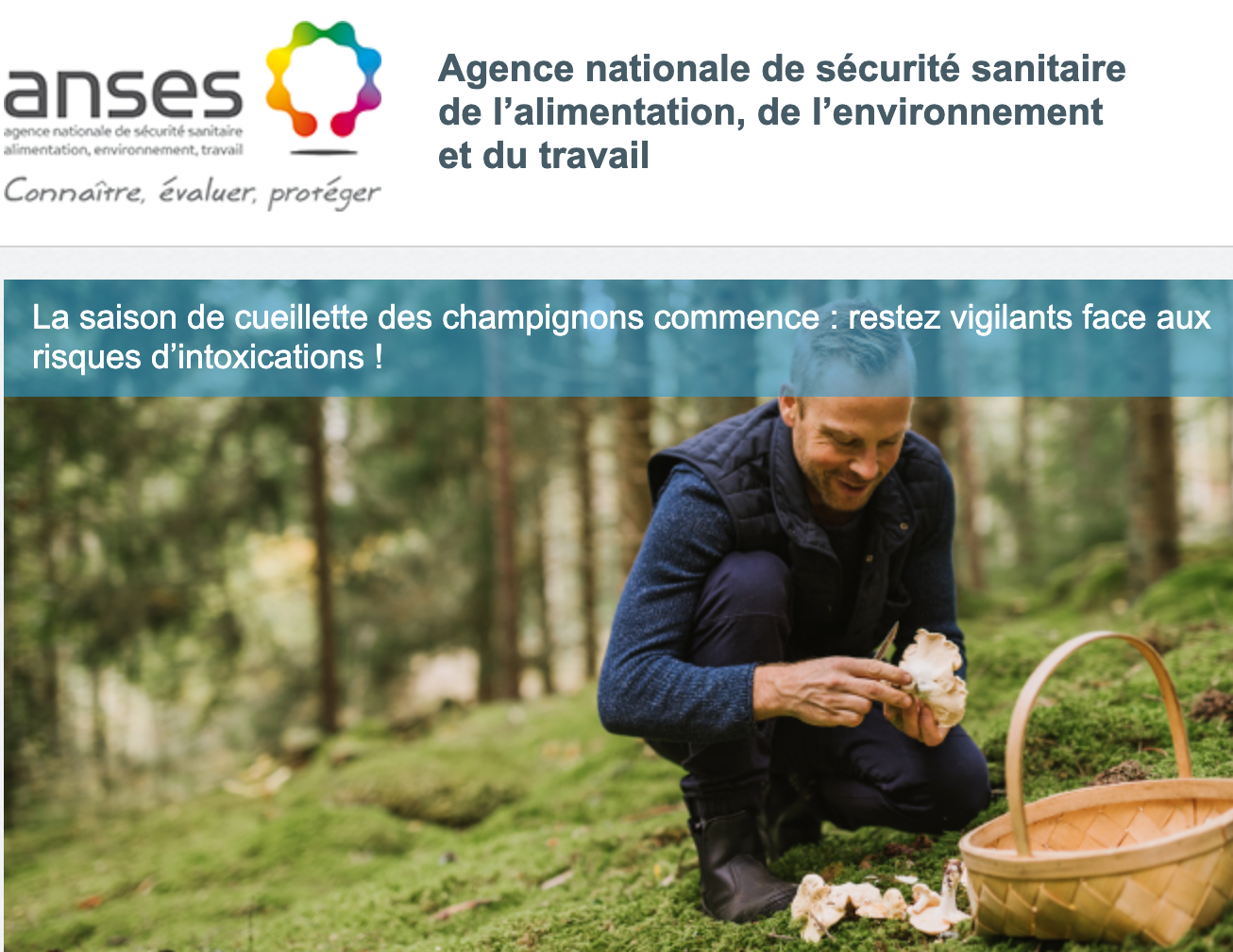 Article cover