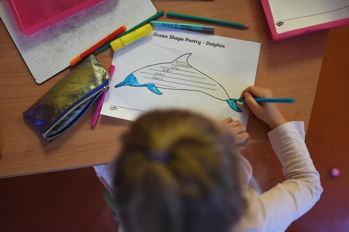 Un élève de première année colorie une fiche d'exercice sur les dauphins dans une salle de classe pendant un cours au Collège Français Bilingue de Londres.