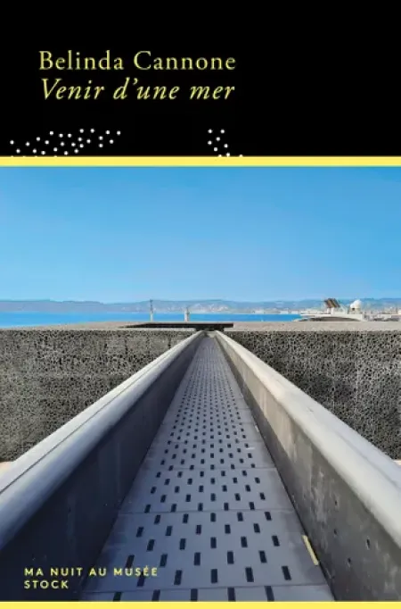 Venir d'une mer, de Belinda Cannone