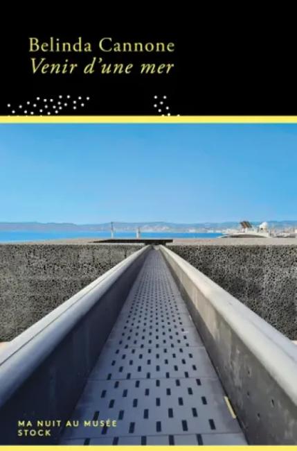 Venir d'une mer, de Belinda Cannone