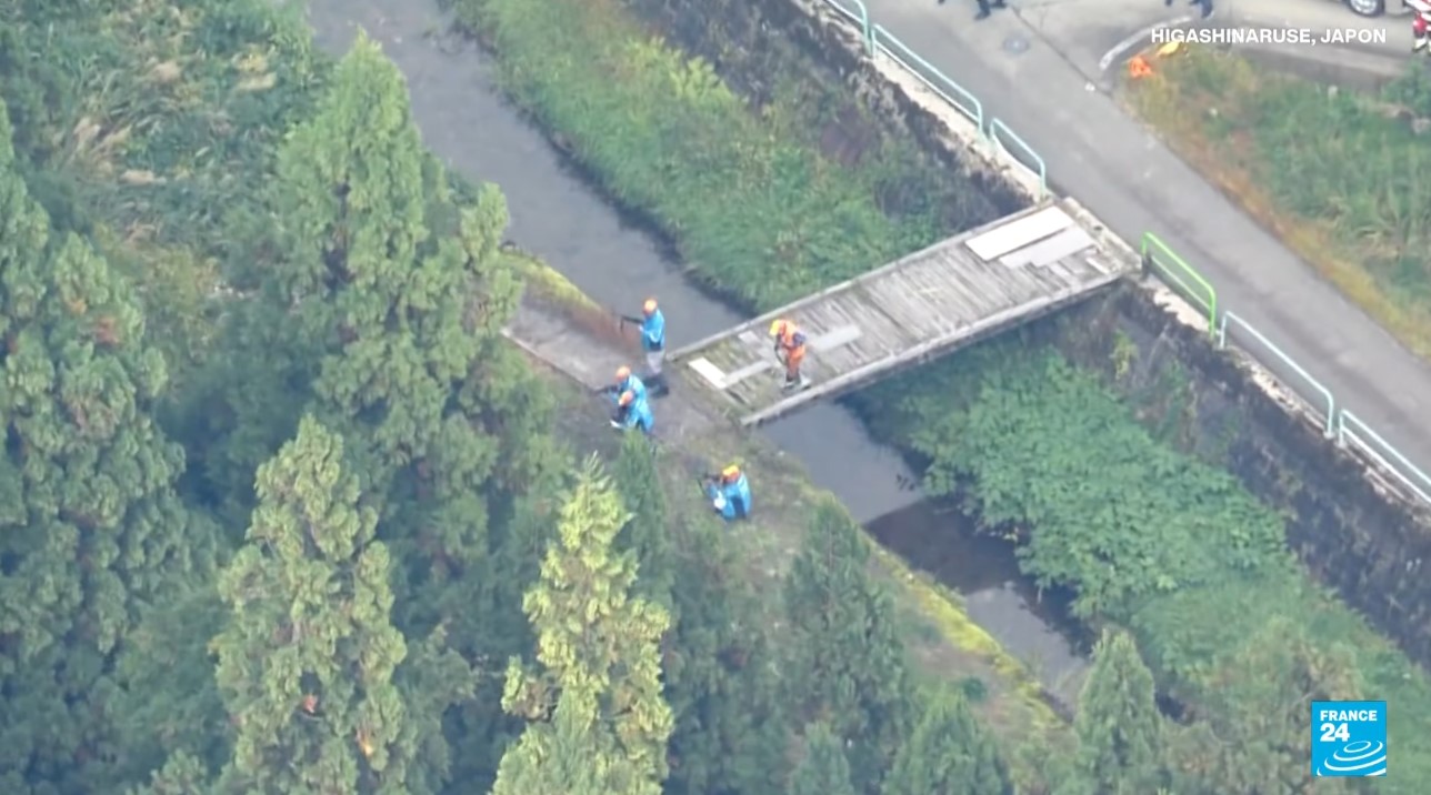 Le Japon fait appel à l’armée pour faire face à la multiplication des attaques d’ours