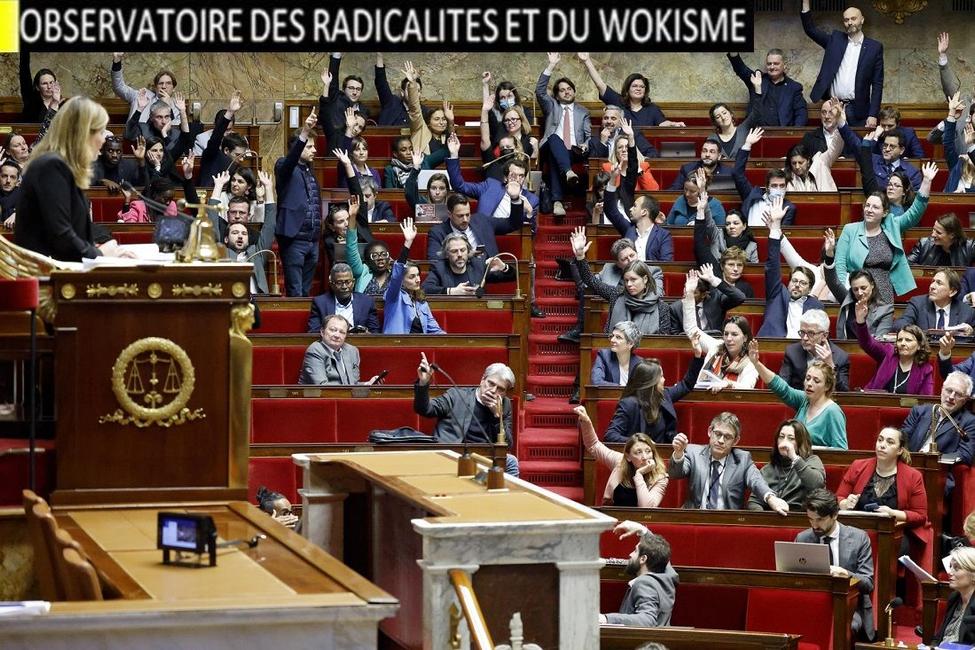 nupes observatoire des radicalités et du wokisme AFP