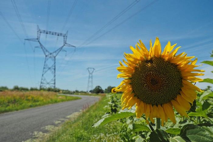 centrale nucléaire environnement AFP