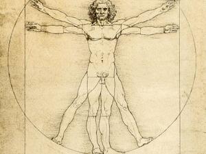 Ce dessin de Leonard de Vinci réalisé à la fin du XVe siècle montre combien l’artiste, philosophe et scientifique italien avait bien saisi les proportions du corps humain. (Image d'illustration)