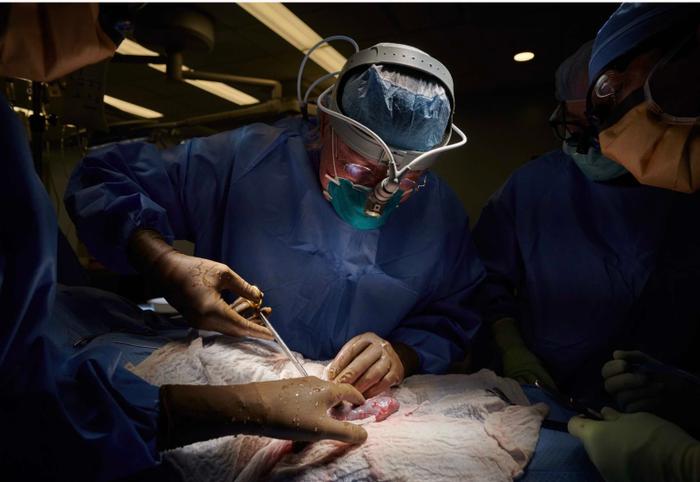 l'hôpital NYU Langone de New York