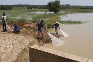 fleuve Afrique AFP
