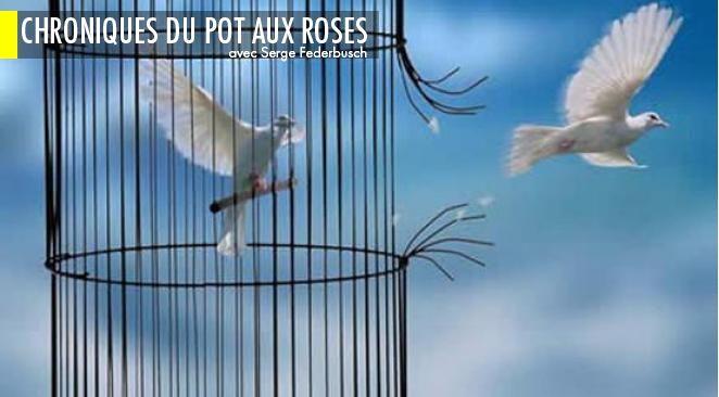 Article cover