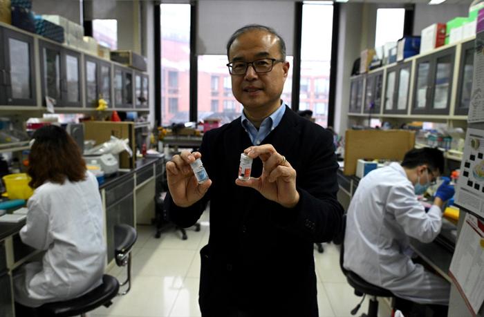 anticorps monoclonaux AFP