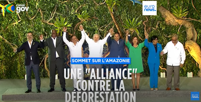 Alliance contre la déforestation