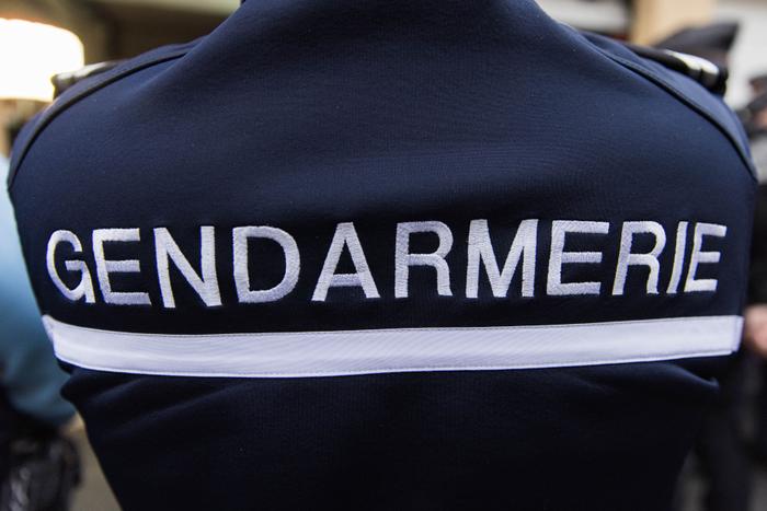 Gendarmerie logo