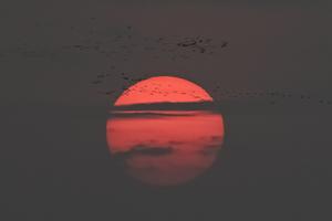Le soleil. (Image d'illustration)