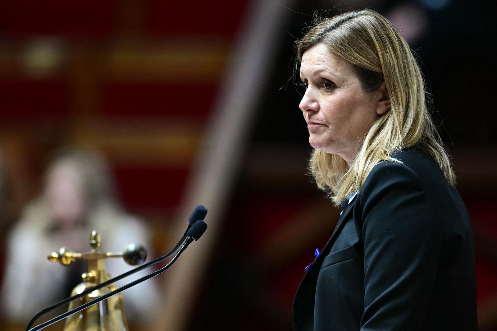 france - politics - government - assembly