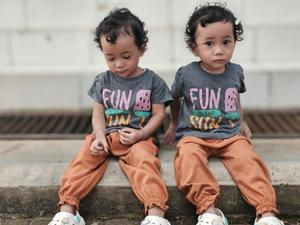 Grâce à l'étude d'un rare groupe de jumeaux élevés séparément, les données permettent de mieux distinguer les effets des gènes et de l'environnement, créant ainsi une expérience quasi naturelle chez l'humain.