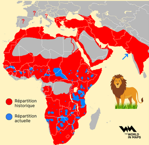 La répartition géographique des lions hier vs aujourd’hui