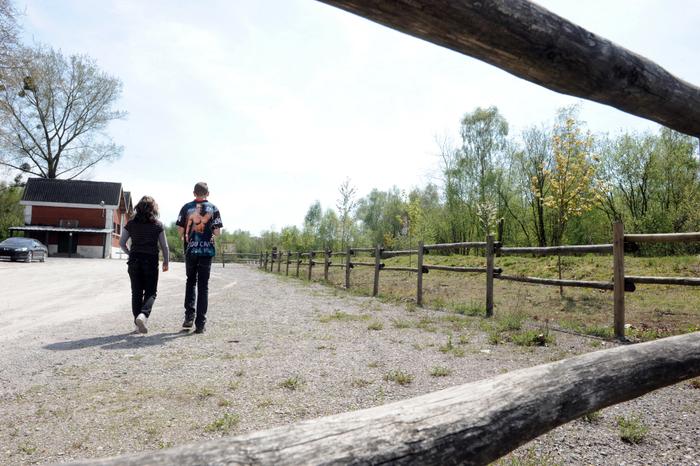 Des jeunes se promènent aux abords d'une friche industrielle à Marpent, transformée en site préservant la biodiversité.