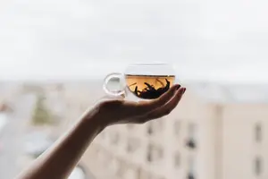 Bien que les thés vert, noir, blanc et oolong présentent des aspects très différents, ils proviennent tous de la même plante : Camellia sinensis.