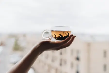 Bien que les thés vert, noir, blanc et oolong présentent des aspects très différents, ils proviennent tous de la même plante : Camellia sinensis.