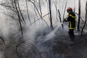 Un pompier arrose une zone forestière brûlée après un incendie de forêt à Saint-Just, dans l'ouest de la France, le 13 août 2026.