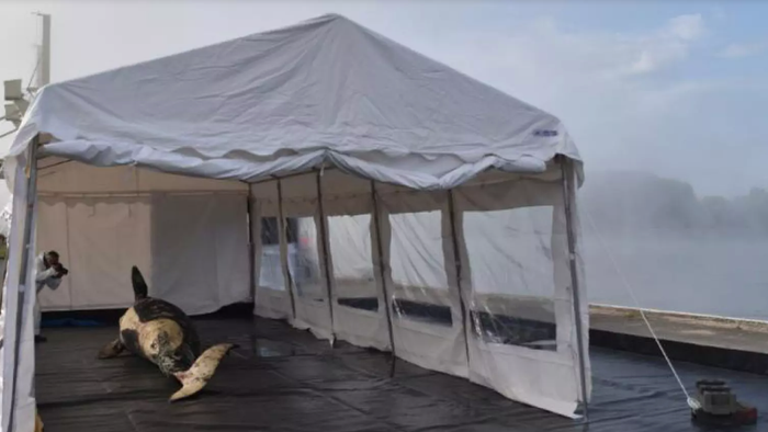 Muséum national d'Histoire naturelle