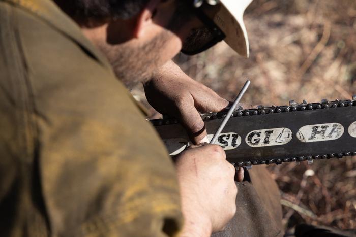 Tronçonneuse grippée : "Elle semblait pourtant bien marcher, jusqu'à présent..."
