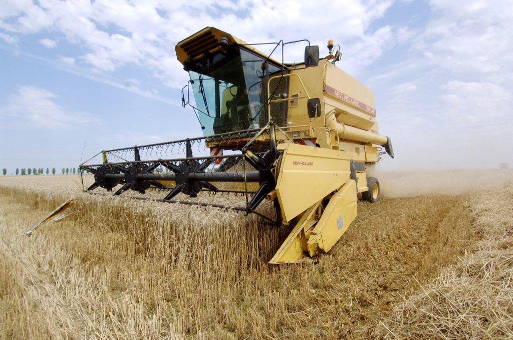 agriculteur récolte France AFP