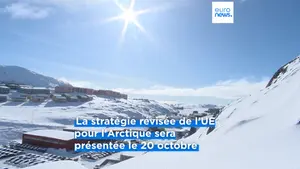 Capture d’écran Euronews