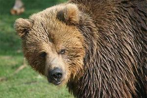 Ours.