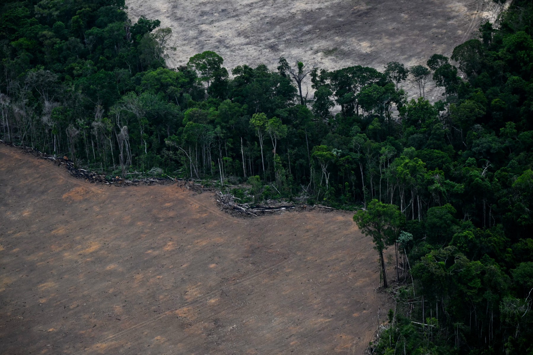 Déforestation : la forêt tropicale respire un peu mieux... mais 11 terrains de football disparaissent encore chaque minute