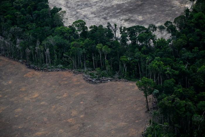 Cette vue aérienne montre des zones déboisées de la forêt amazonienne dans la municipalité de Tomé-Acu, dans l'État du Pará, au Brésil, le 12 novembre 2025.