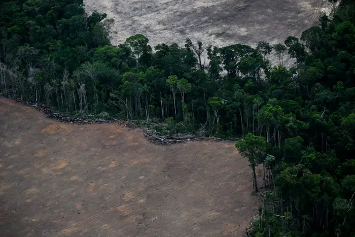 Cette vue aérienne montre des zones déboisées de la forêt amazonienne dans la municipalité de Tomé-Acu, dans l'État du Pará, au Brésil, le 12 novembre 2025.