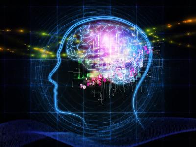 Cerveau. (Image d'illustration)
