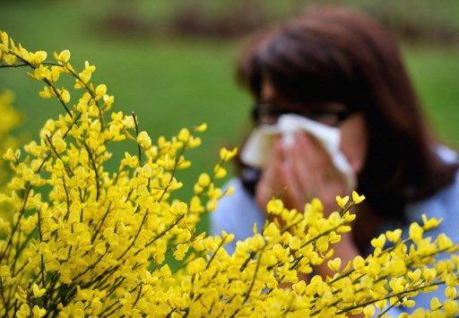 Allergie - AFP