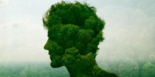 L'écologie.