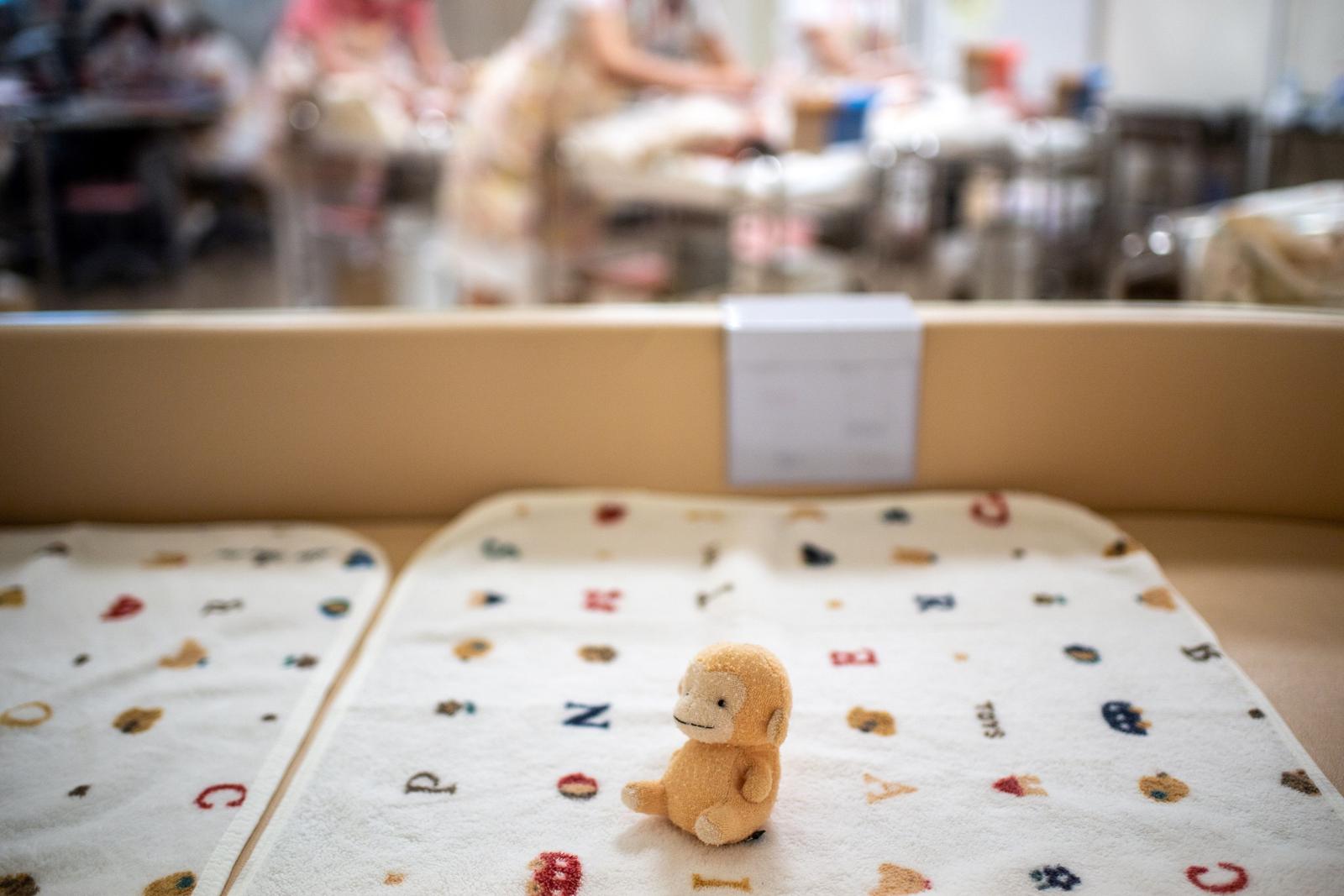 démographie bébés