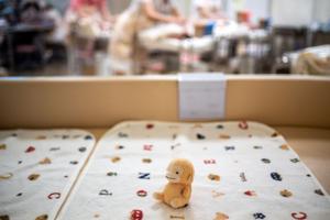 démographie bébés