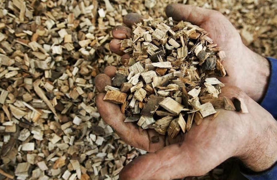 bois broyé environnement AFP