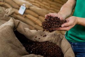 Grains de café. (Image d'illustration)