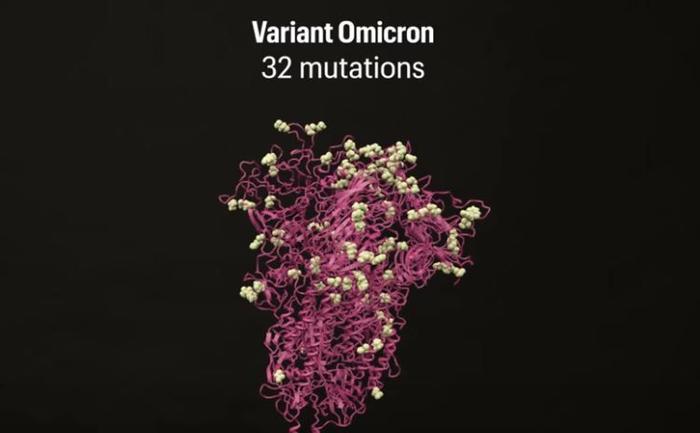 variant Omicron vidéo Le Parisien