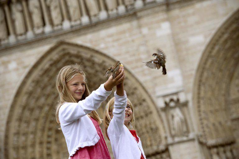 oiseaux AFP