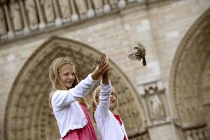 oiseaux AFP